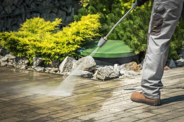 Animal Enclosure Cleaning in Cary, IL