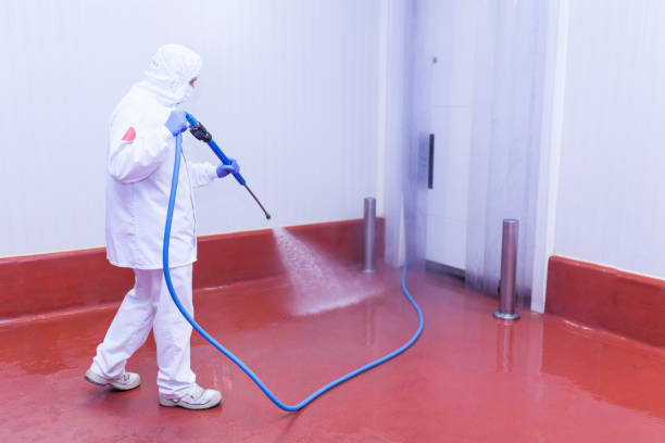 Best Patio and Deck Pressure Washing  in Cary, IL