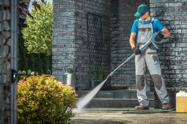 Best Paint Preparation  in Cary, IL