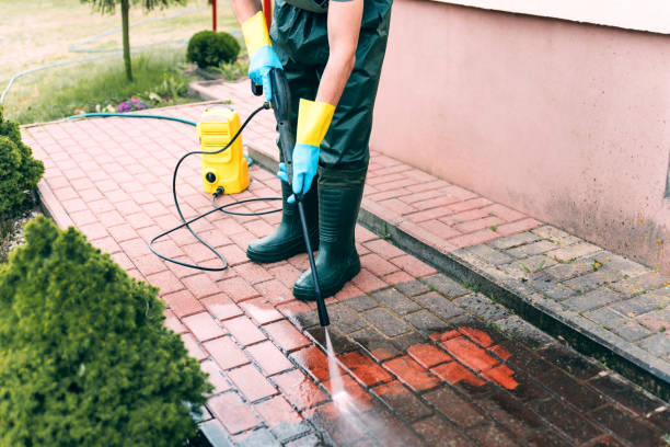 Best Dumpster Area Cleaning  in Cary, IL