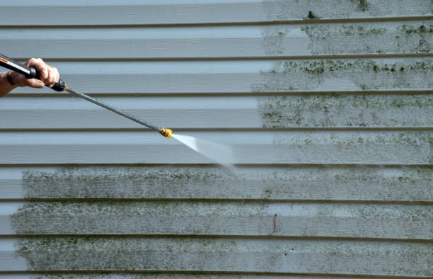 Best Sidewalk and Walkway Cleaning  in Cary, IL
