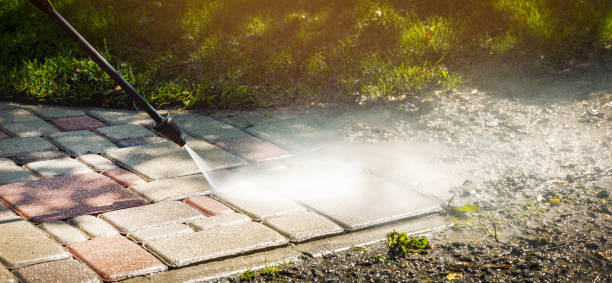 Best Spring Cleaning  in Cary, IL